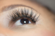 Load image into Gallery viewer, PALOMA LASHES