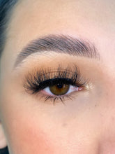 Load image into Gallery viewer, PALOMA LASHES